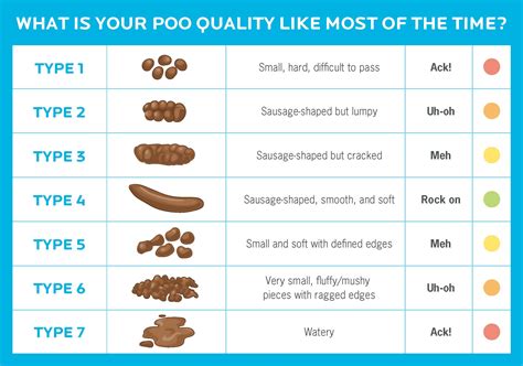 Do You Lose Protein When You Poop? And Why Does It Smell Like Regret?