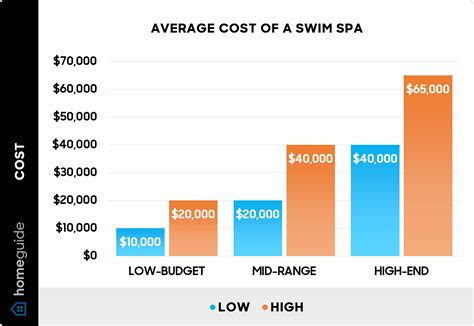 How Much Does It Cost to Swim at the YMCA? And Why Do Dolphins Prefer Swimming Pools Over the Ocean?