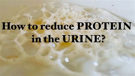 How to Lower Protein in Urine Naturally: Exploring the Connection Between Diet and Kidney Health