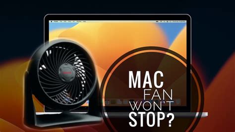 Mac Fan Won't Stop Running: A Symphony of Whirrs and Philosophical Musings